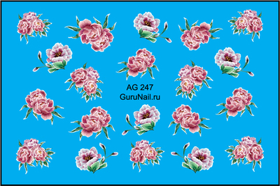 Gurunail Слайдер-дизайн аэрография 247 Пионы