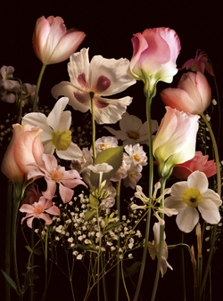 Коллекция Flower Dreams
