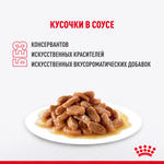 Royal Canin Indoor Sterilized Корм консервированный для взрослых кошек соус 85г
