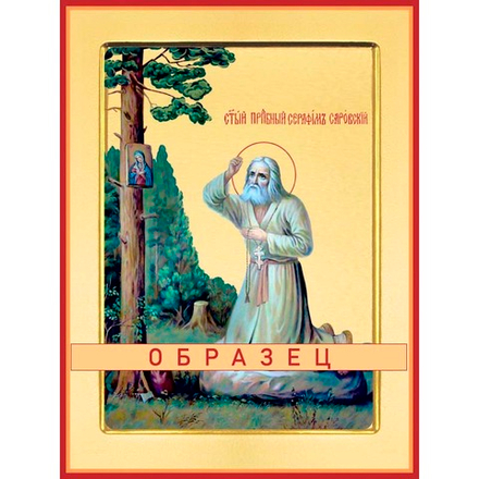 Преподобный Серафим Саровский Прп-20 (прп/С/2/8)