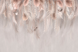 Коллекция Тропическое