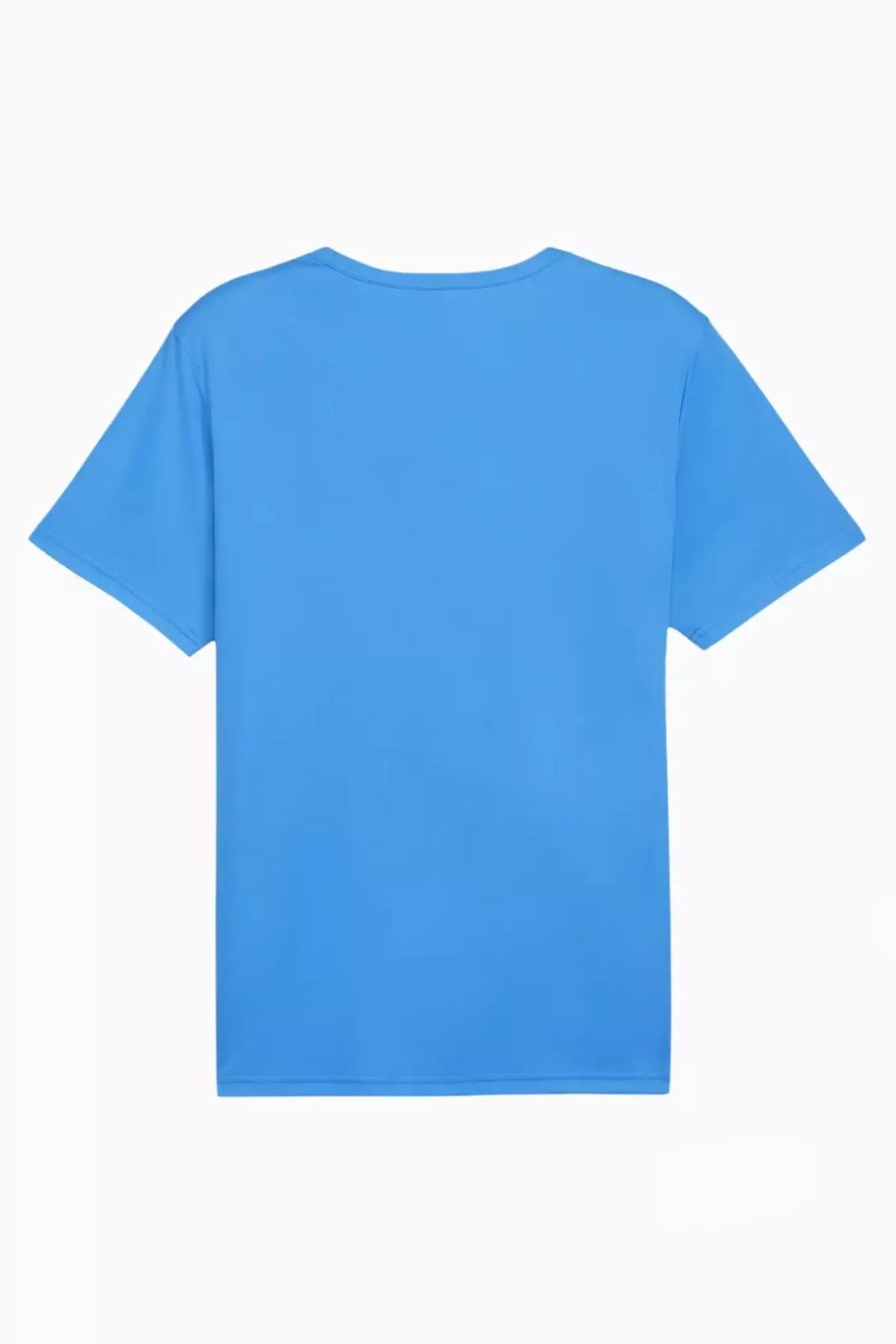 Футболка Puma teamRISE Matchday