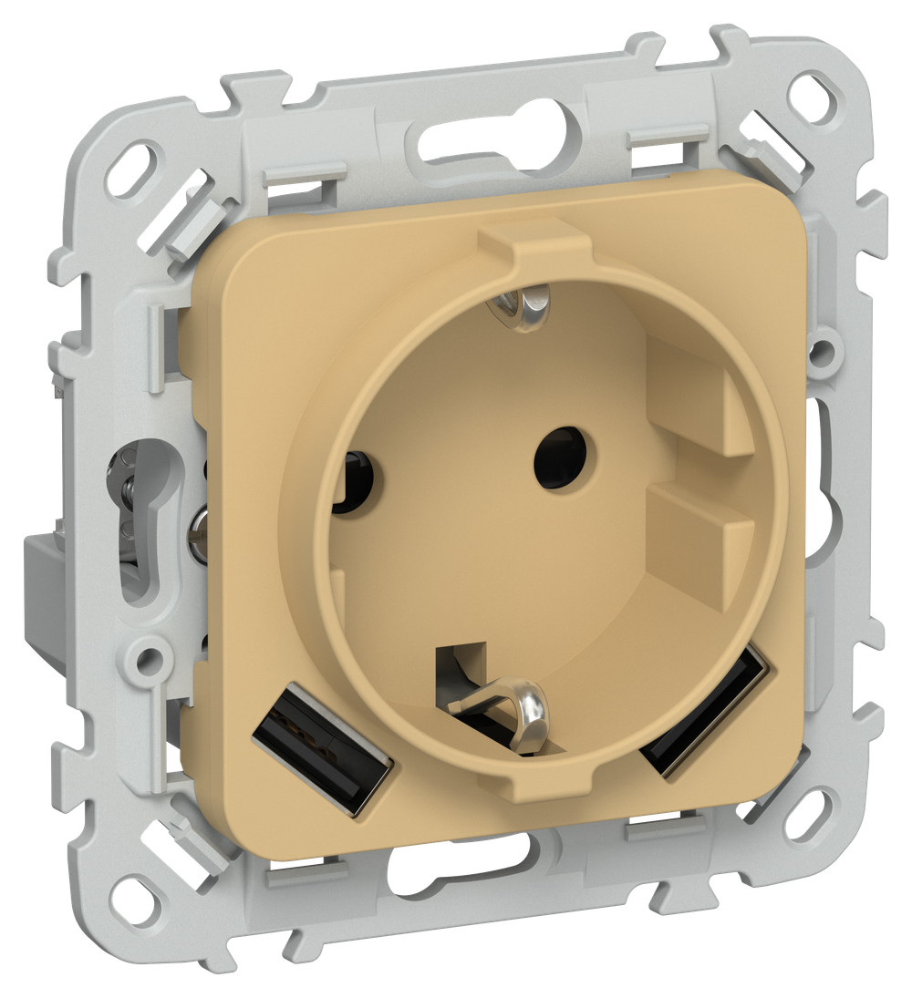 FLITE Розетка 1-местная с заземлением с защитными шторками 16А с USB A+A 3,1А РСЮша11-0-ФлШм шамуа IEK