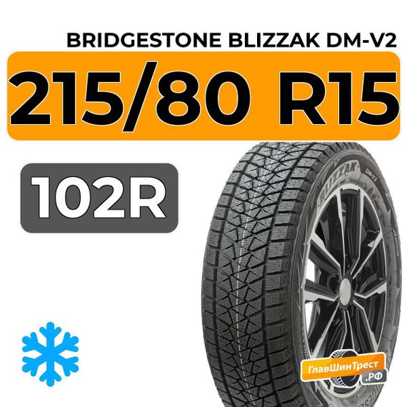 Bridgestone Blizzak DM-V2 215/80 R15 102R