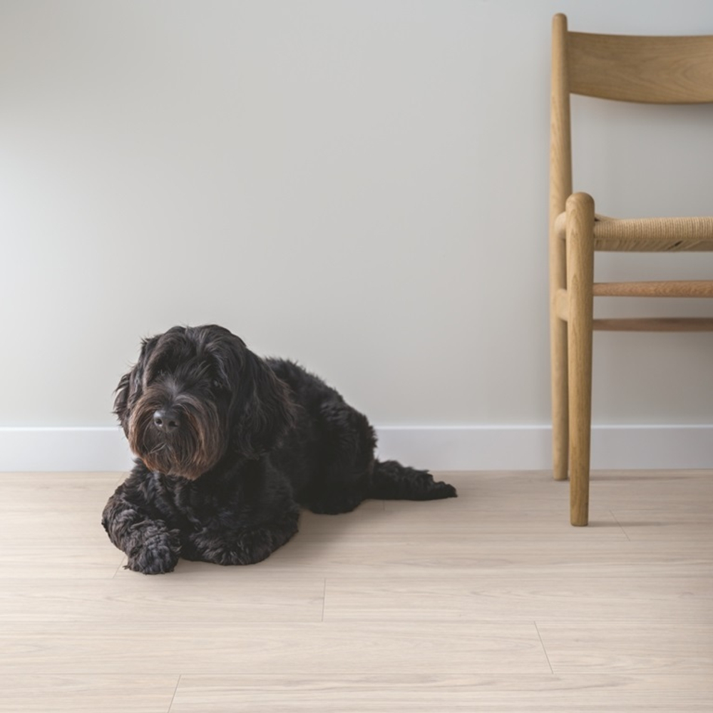 Ламинат Pergo Kalmar 8 мм L1367-06989 ДУБ ЛАГОМ СВЕТЛО-БЕЖЕВЫЙ 1.835 м2