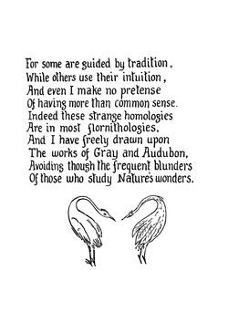 How to tell the birds from the flowers. and other Woodcuts. | Robert Williams Wood