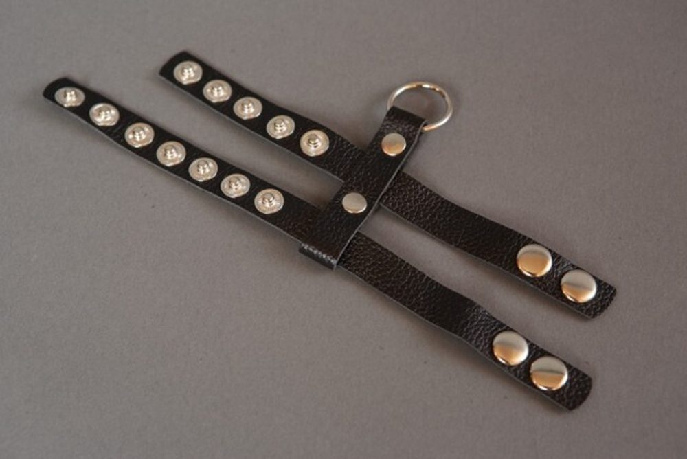 Сбруя на фаллос и мошонку на кнопках (Цвет: черный с серебряным)