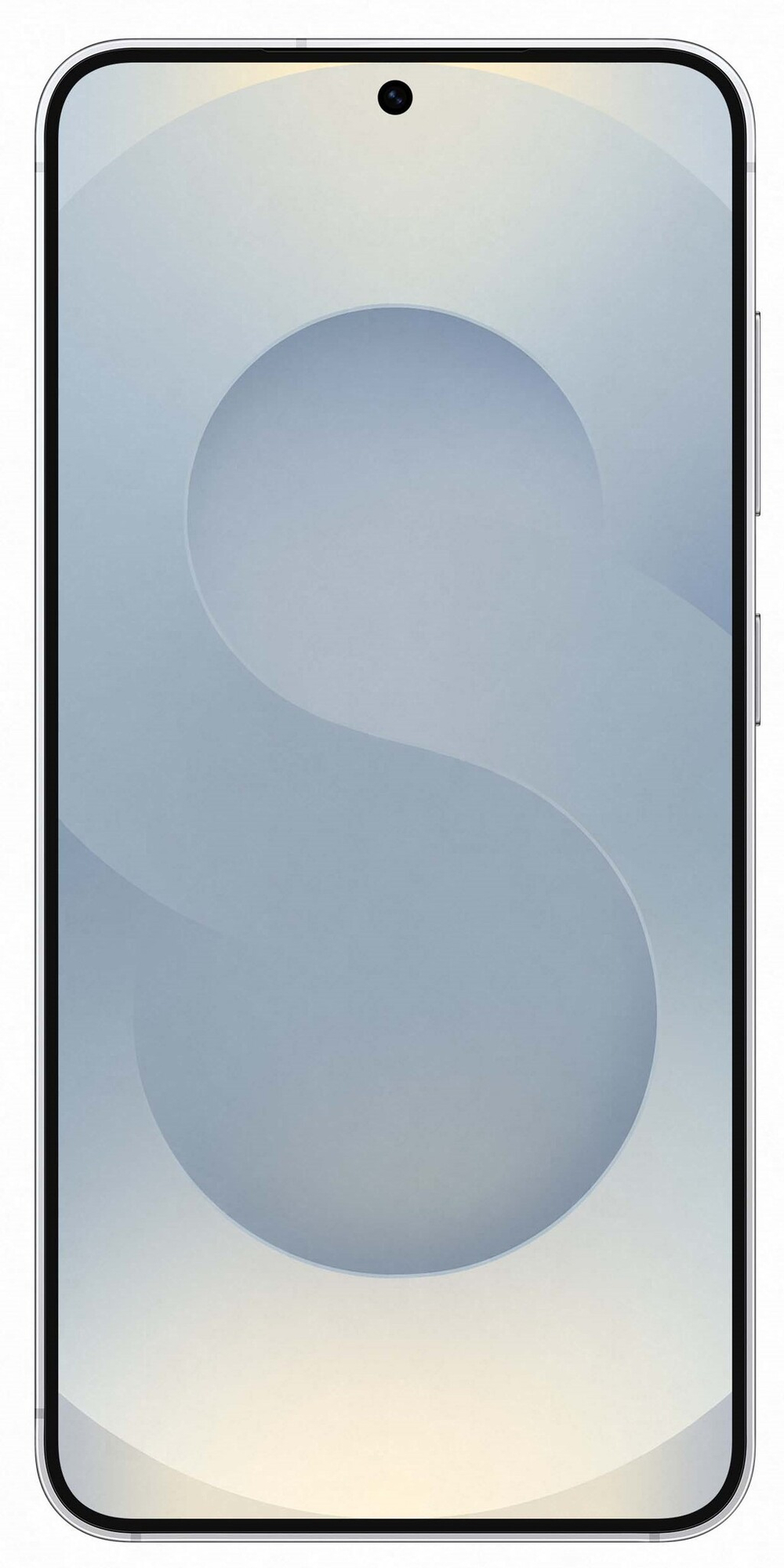 Samsung Galaxy S25 12/512Gb Silver Shadow