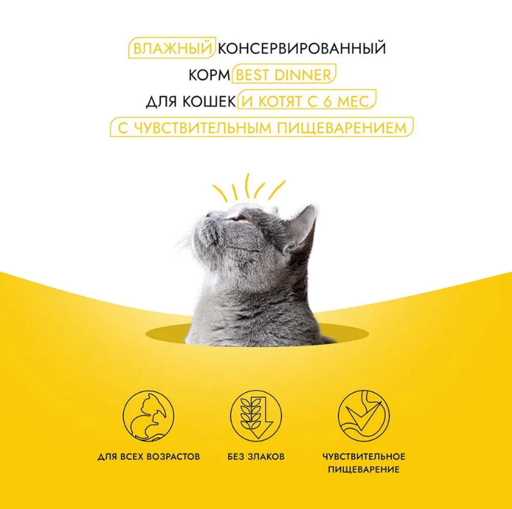 Влажный холистик корм для кошек и котят с чувствительным пищеварением Best Dinner High Premium 0,1кг натуральная курица. 12 упаковок