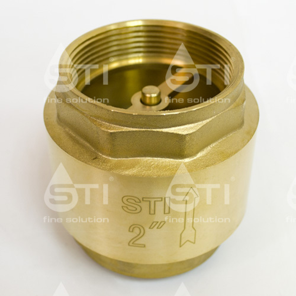 Клапан обратный пружинный STI 50 (латунный шток)