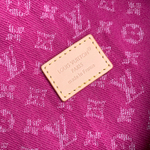Louis Vuitton Baggy