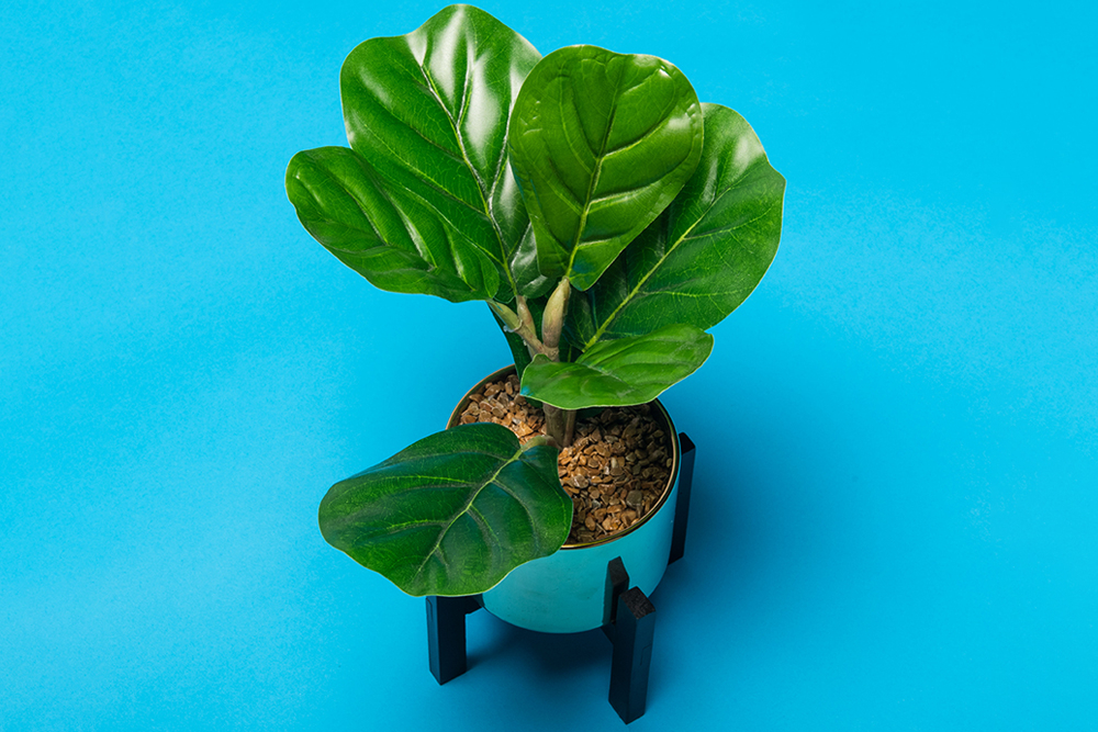 E-IMAGE SBP10 Background paper (2.72*10M) 06 Nassau Фон бумажный, голубой