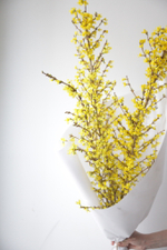 Монобукет Форзиция