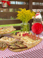BBQ Party