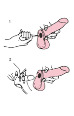 Насадка-фаллос в комплекте с трусиками Harness - 21,6 см. (Цвет: телесный)