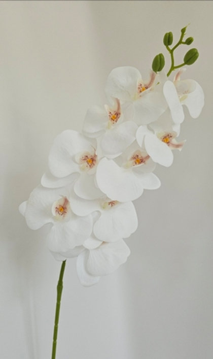 Орхидея / Арт 2233