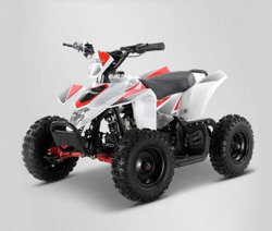 Электро-мотовездеход квадроцикл Apollo RFZ  E-KITTY 1000W Белый