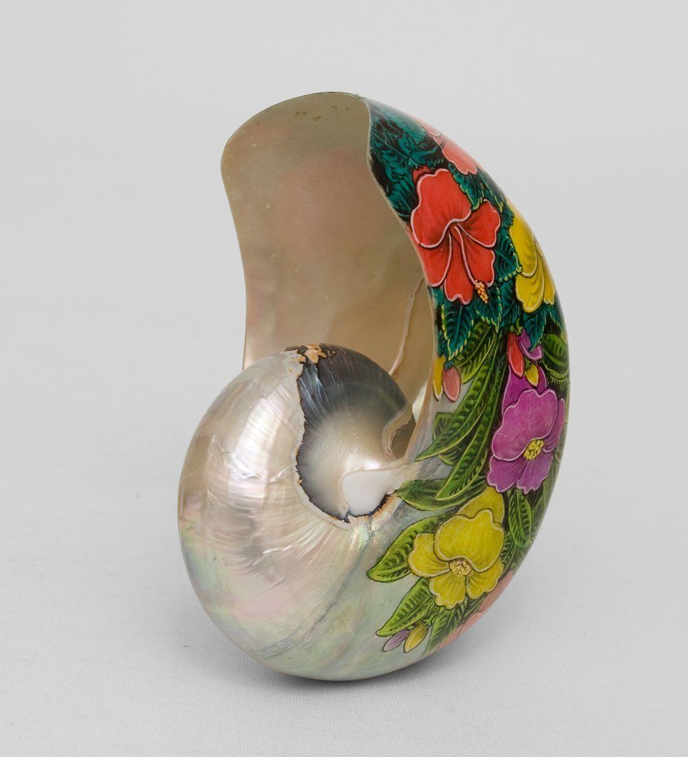 19-007 Ракушка расписная (о.Бали) M