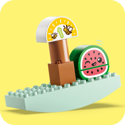 LEGO DUPLO Мой первый — Биомаркет 10983
