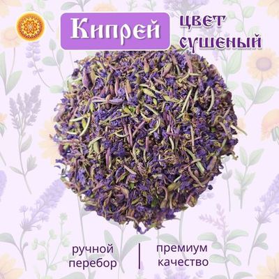Кипрея (цвет)