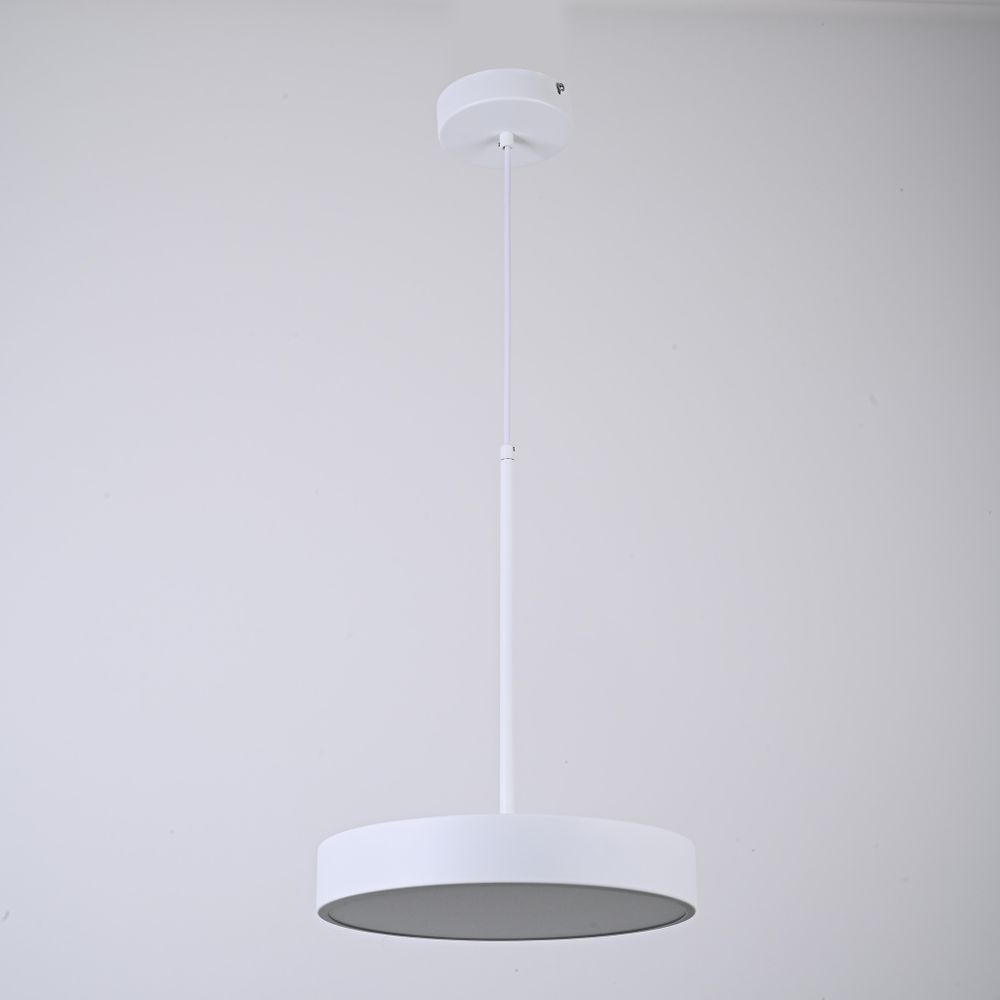 Подвесной светильник TURNA ONE D30 White by ImperiumLoft
