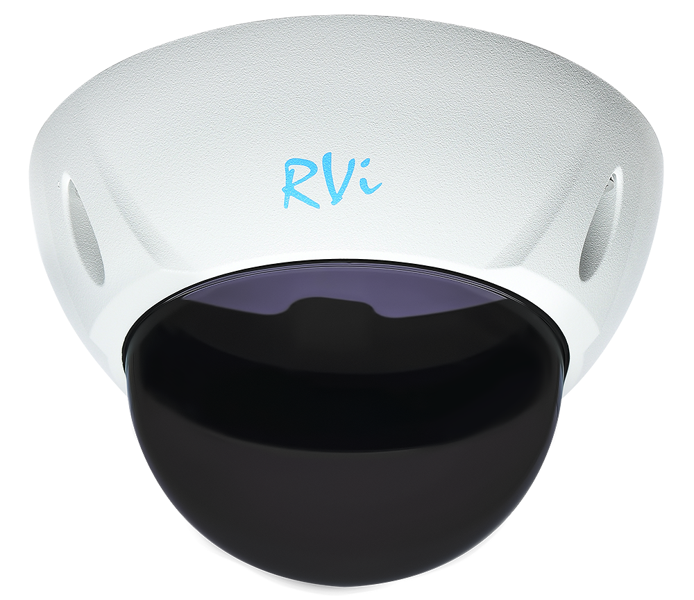 RVi-1DS4w Тонированный купол с белой рамкой