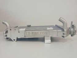 19010-K1T-T01. RADIATOR COMP. (T.RAD). Radiator Honda CRF300L / Rally300 2021, 2022-Up OEM.