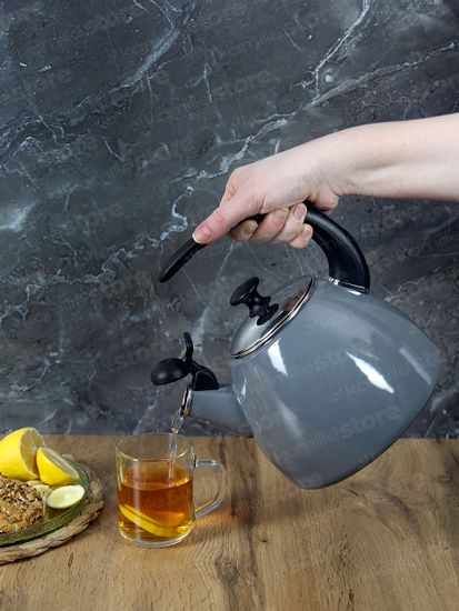 Чайник 2,5 л. эмалированный со свистком Kamille KM 1040C с черной бакелитовой ручкой