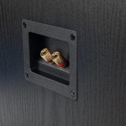 Radiotehnika Sigma 1.01 Black Ash полочная профессиональная акустическая система (пара)