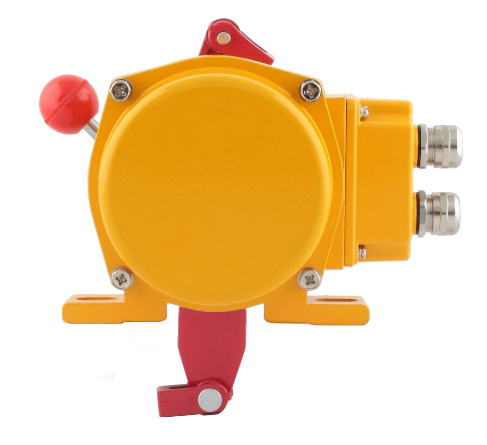 Датчик остановки конвейера INNOLEVEL в алюм. корпусе, -40...+75С, 250 VAC, 10 A, IP65, 2 релейных выхода