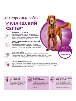 Сухой корм для собак Ирландский сеттер, говядина, 12кг