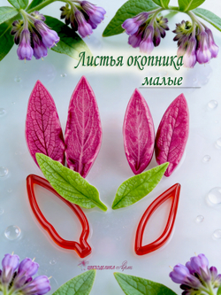 Листья окопника малые