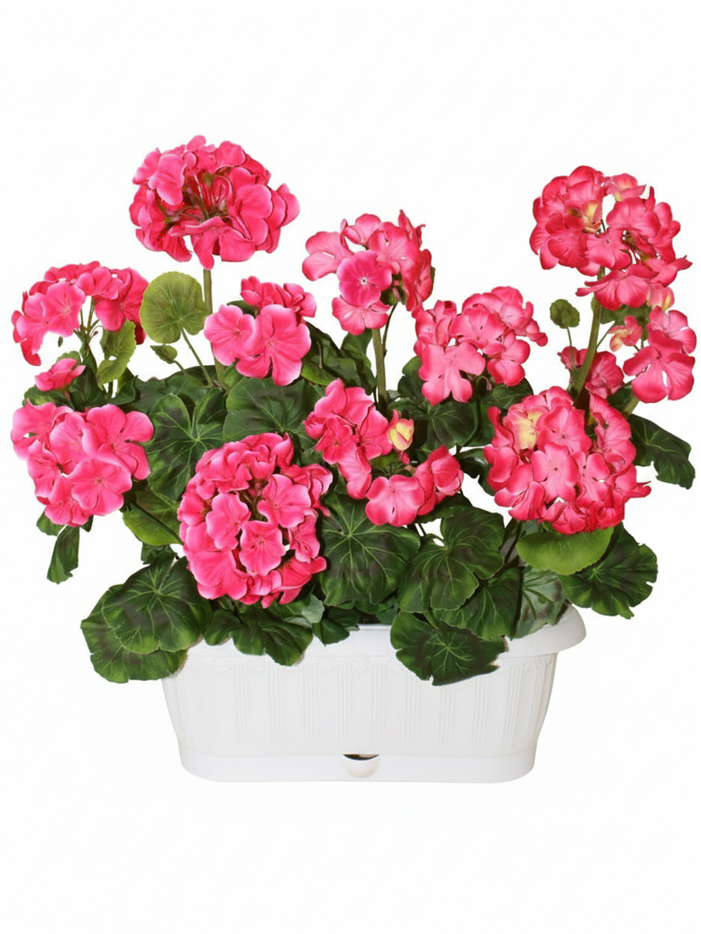 Искусственные цветы Герань малиновая 40см в балконном ящике