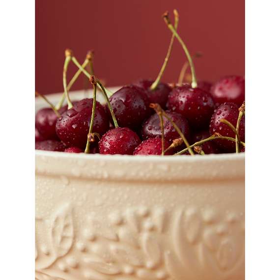 Миска для смешивания birds of paradise, 2,6 л, кремовая