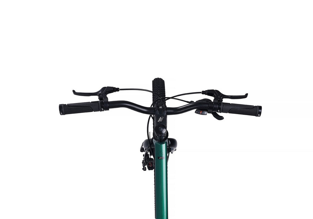 Maxiscoo "7BIKE" 24'' M500 (2024)