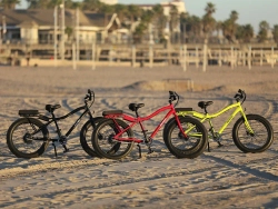 Электрофэтбайк El-sport bike TDN-01 500W