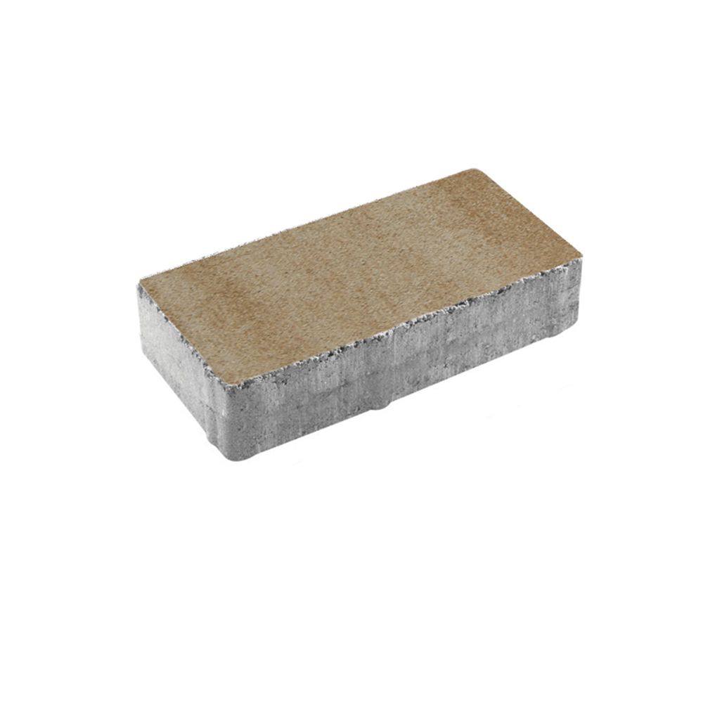 Тротуарная плитка ПРЯМОУГОЛЬНИК 200x100 мм - Искусственный камень Степняк