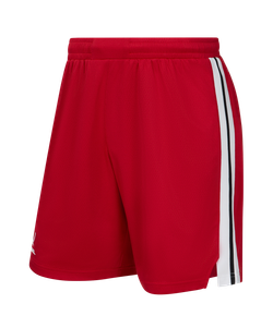 Шорты баскетбольные JÖGEL DIVISION PerFormDRY Shorts R2, красный
