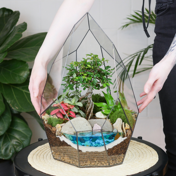 Готовый флорариум бонсай Японский вяз Айсберг с озером