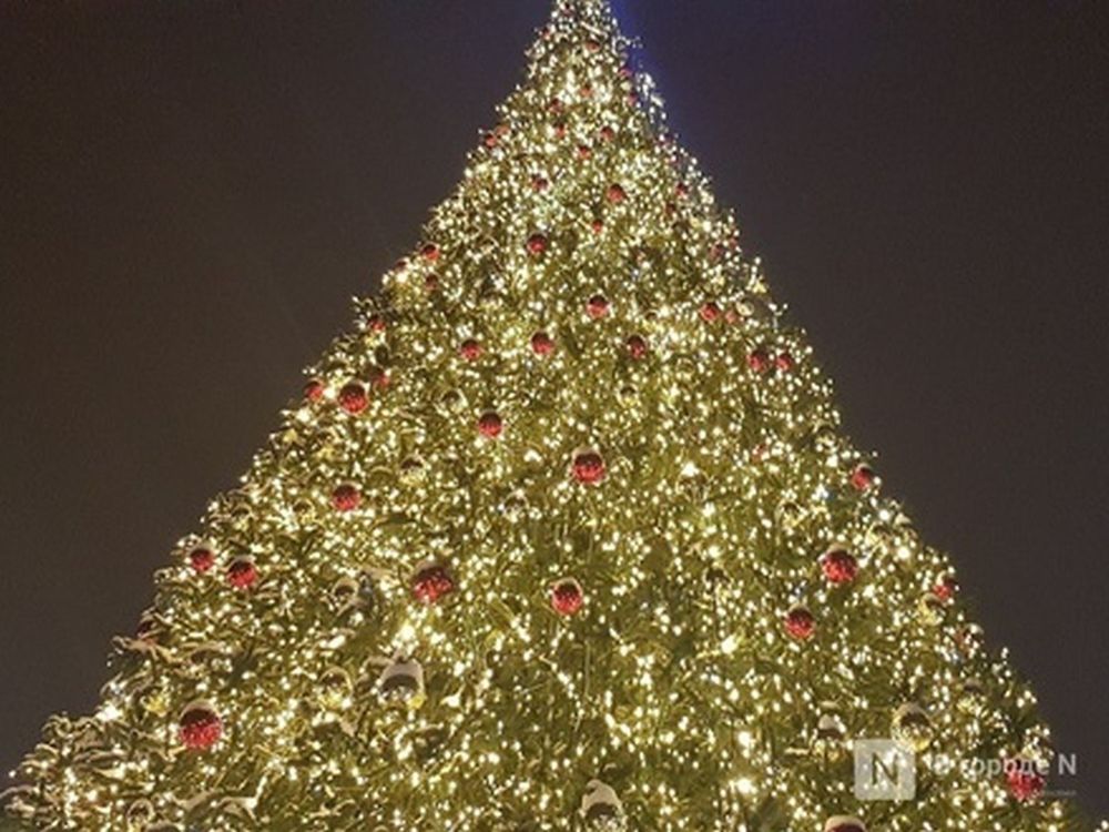 Светодинамическая елка ствольная: с встроенной гирляндой - "Альпийская" 19 м