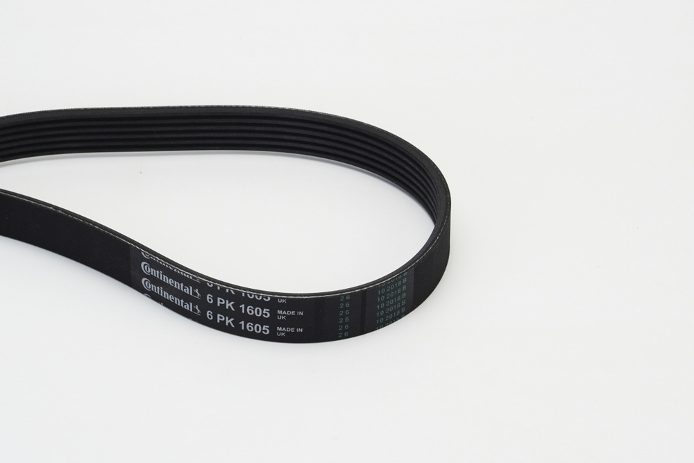 CONTINENTAL CTAM - 6PK1605-COT - V-Ribbed Belt