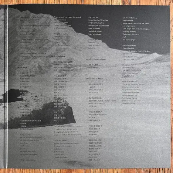 The Fuzz - Fazi – Folding Story - LP
