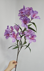 Альстромерия / Арт 2569