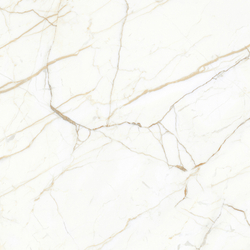Europa Gold l Керамогранит белый 60x60 Матовый Карвинг