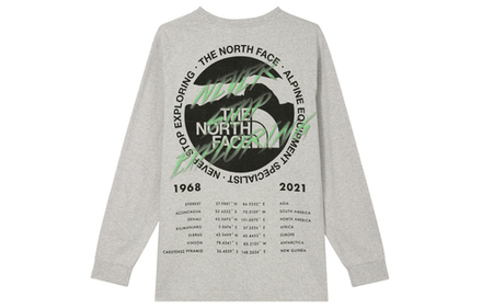 Толстовки THE NORTH FACE x INVINCIBLE Half Dome Graphic, NF0A5JVV-E2L