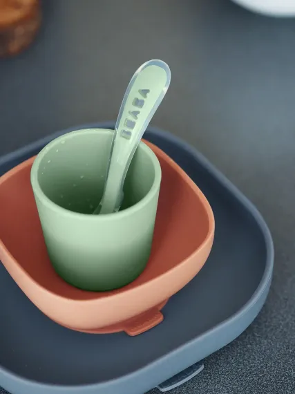 Набор посуды Beaba Coffrey Repas Silicone Mineral