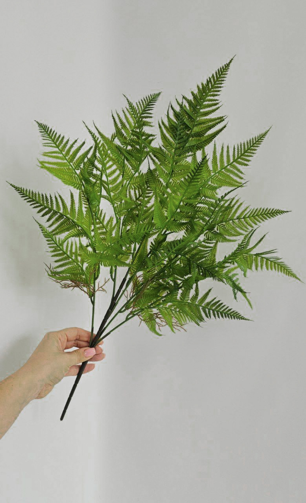 Куст папоротника / Арт 5014