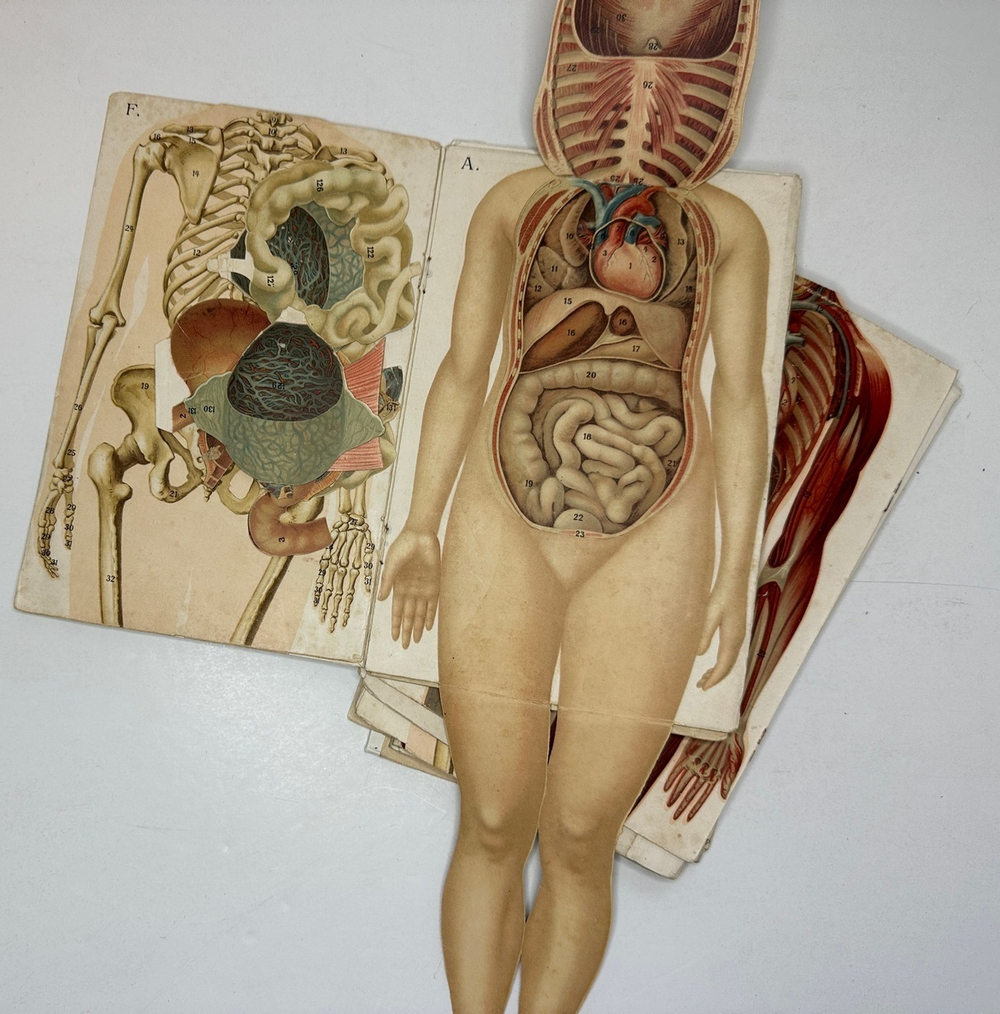 Платен М. Новый способ лечения. Лечение целебными силами природы. — Берлин: Изд. Просвещение, 1901