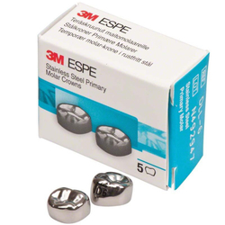 Первый нижний левый моляр, размер 6 (D-LL-6)