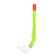 Трубка плавательная SALVAS Rapallo Snorkel DA115T0GGSTS, размер взрослый